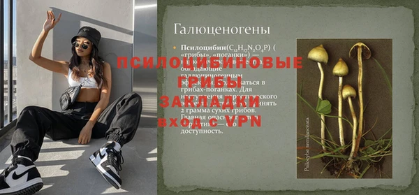 apvp Алексин
