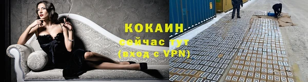 apvp Алексин