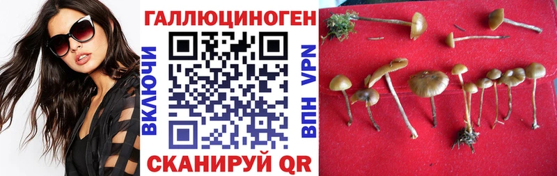 Галлюциногенные грибы мицелий магазин Ханты-Мансийск
